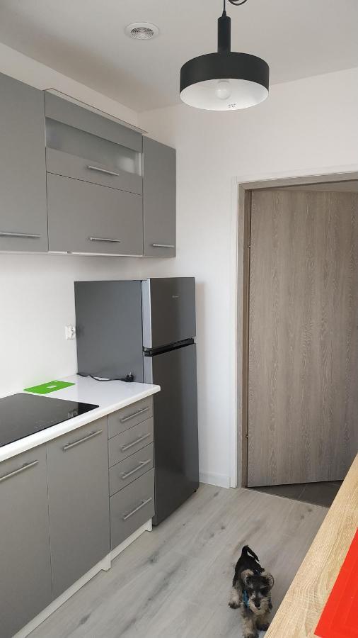Apartament Witkacego Czerwony Słupsk Dış mekan fotoğraf