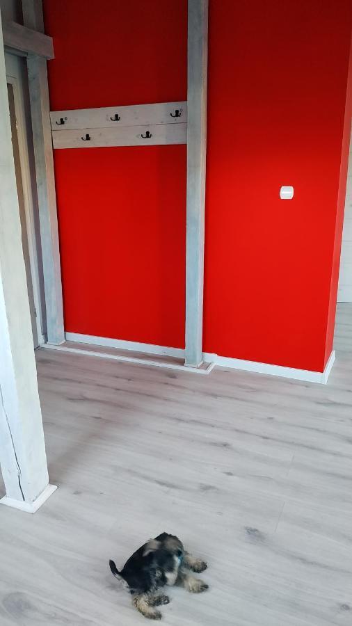 Apartament Witkacego Czerwony Słupsk Dış mekan fotoğraf